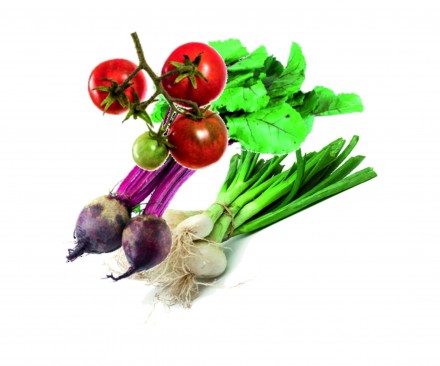 Dobre efekty przynosi posadzenie w przydomowym ogrodzie warzyw, takich jak dynia, fasola, ogórek, pomidor, papryka, rukola, sałata.